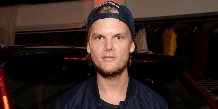 Avicii's biography 2020