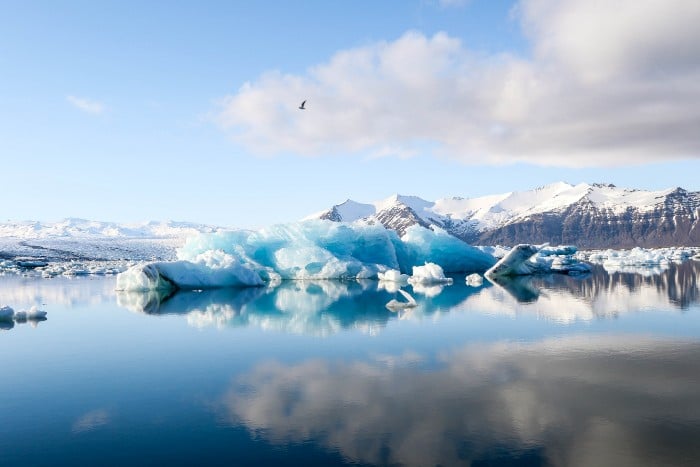 Grandmother swept out to sea while posing for a photo on an iceberg in Iceland