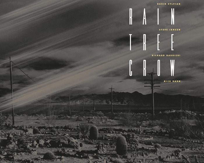 Vinyl reissue of Rain Tree Crow - The return of a masterpiece