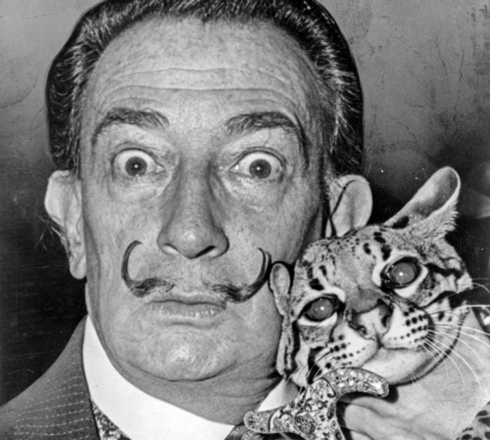 10 Salvador Dalí artworks stolen from a Stockholm gallery