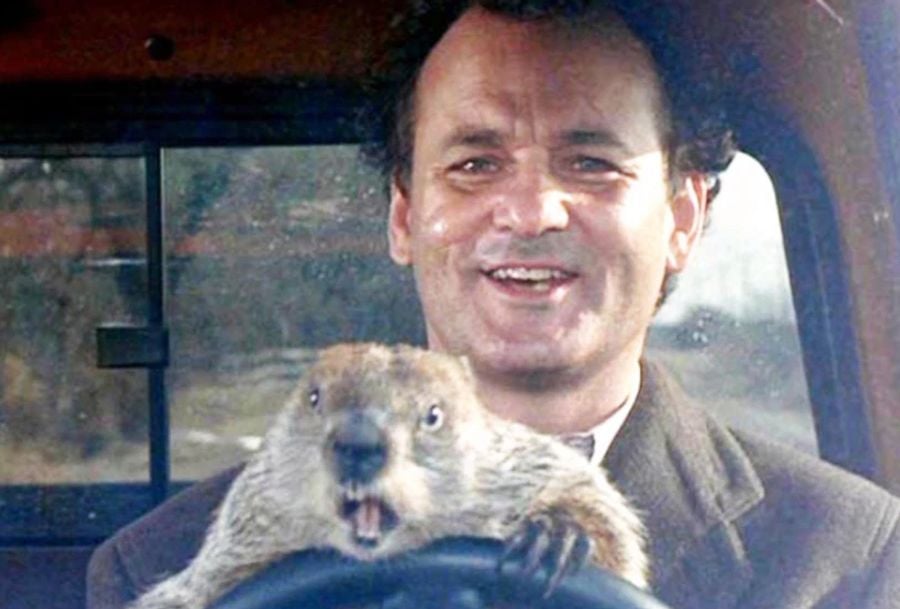 Bill Murray is reprising his 'Groundhog Day' role