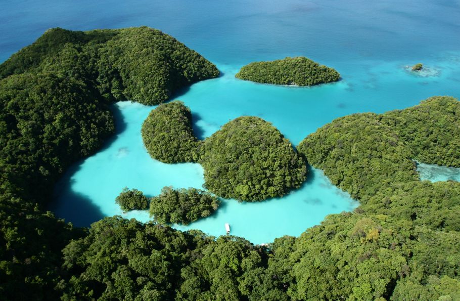 Palau introduce sunscreen ban after chemicals are found to harm coral reefs
