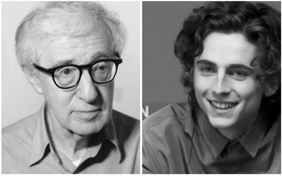 Woody Allen: 'Timothée Chalamet only publicly denounced me to improve his Oscars chances