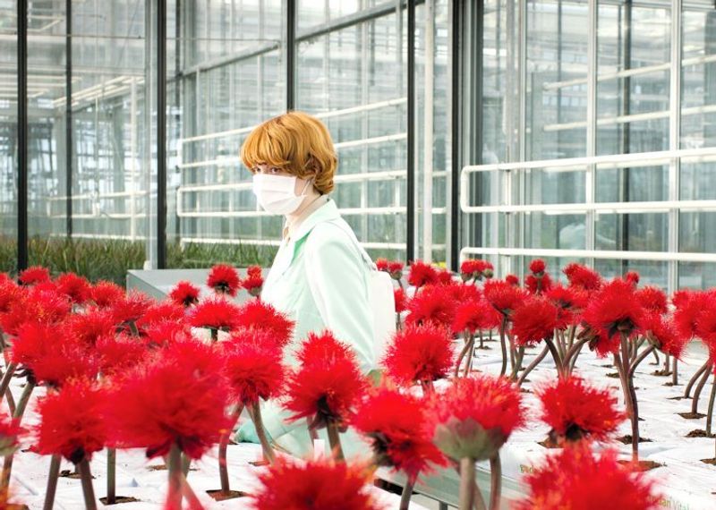 Exploring Jessica Hausner's distinctly unusual sci-fi film 'Little Joe'