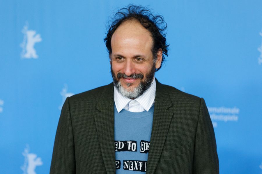 Luca Guadagnino to direct project written by Seth Rogen and Evan Goldberg