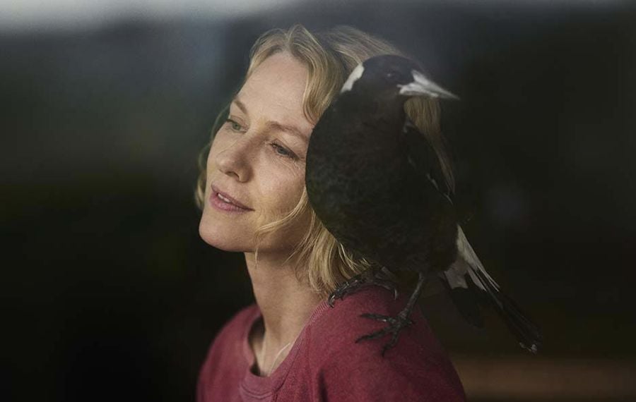 'Penguin Bloom' starring Naomi Watts