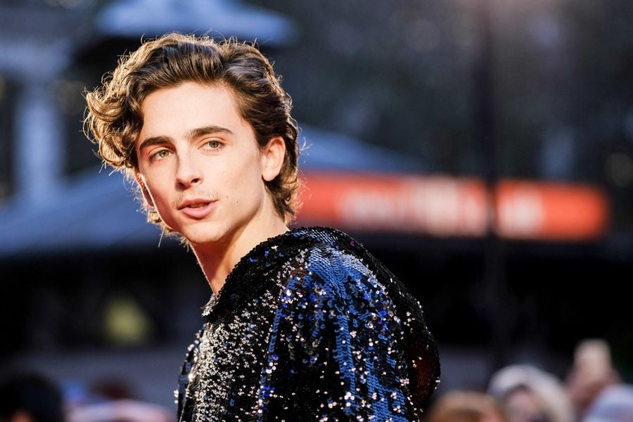 Timothée Chalamet 10 best films ranked in order of greatness
