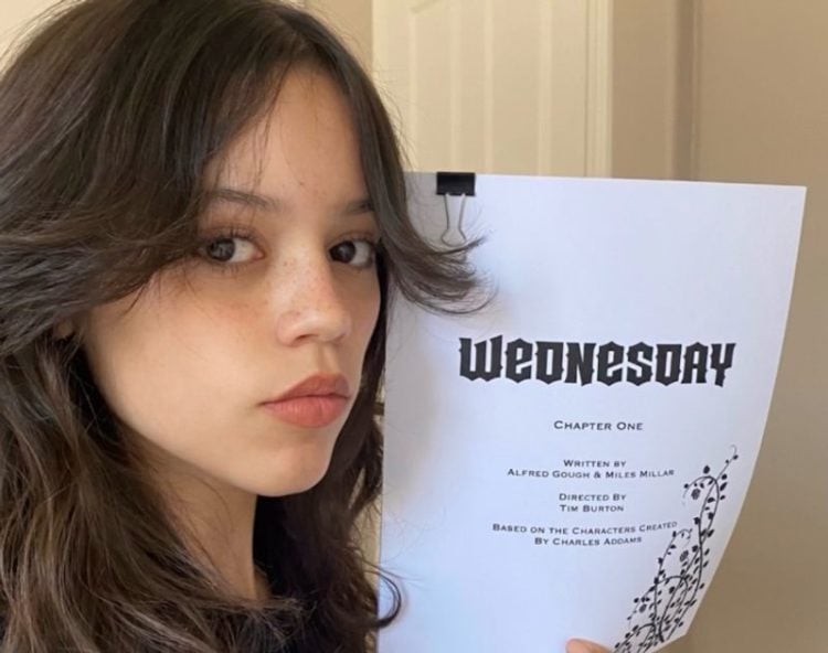 Tim Burton casts Wednesday in Addams Family Netflix series