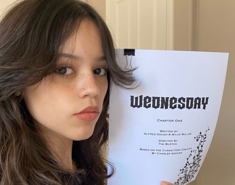 Tim Burton casts Wednesday in Addams Family Netflix series
