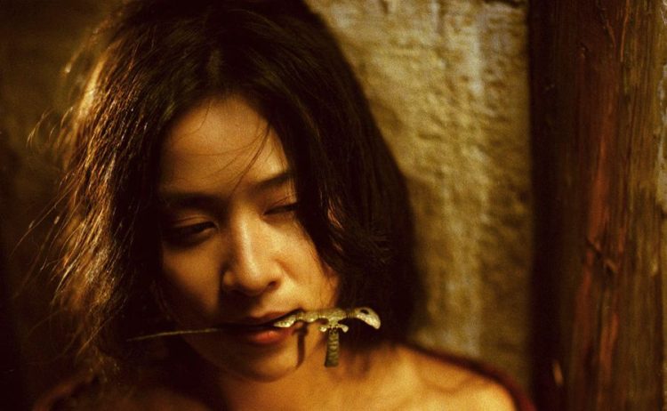 Ashes of Time wong kar-wai
