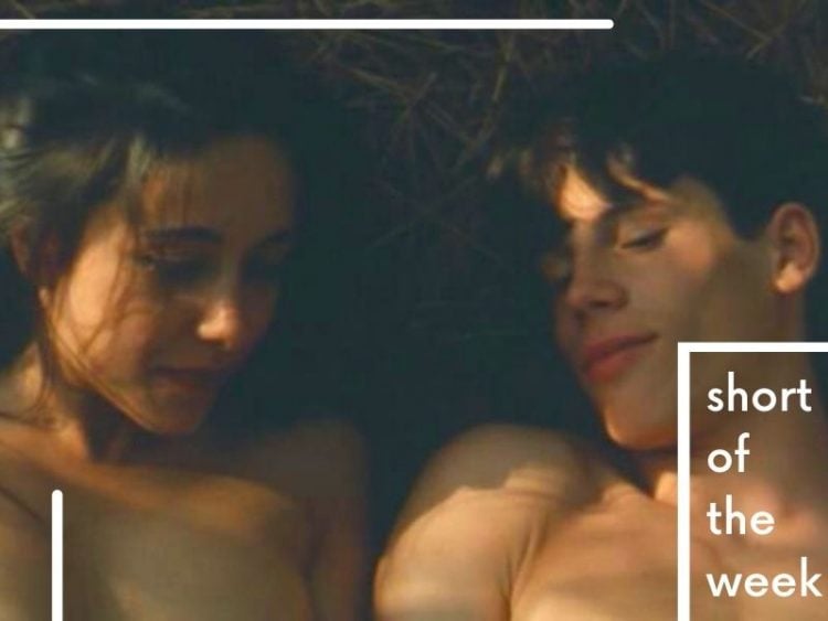 François Ozon's 1996 film 'A Summer Dress'