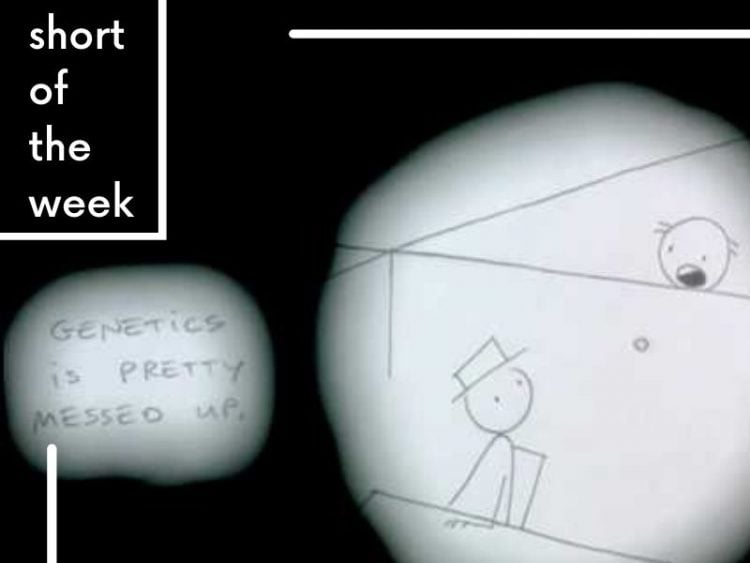 Short of the Week Don Hertzfeldt