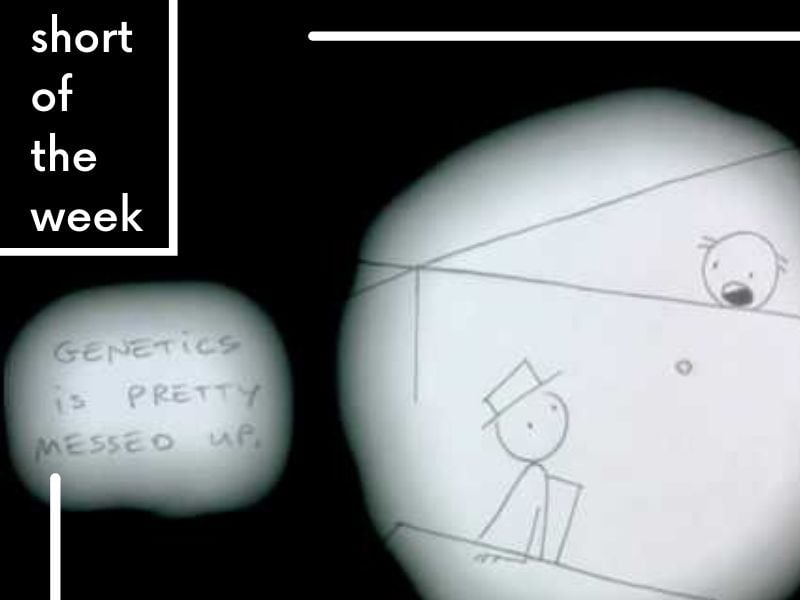 Short of the Week Don Hertzfeldt