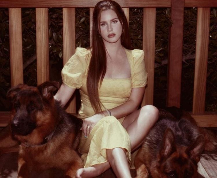 Lana Del Rey teases new single and artwork for upcoming LP
