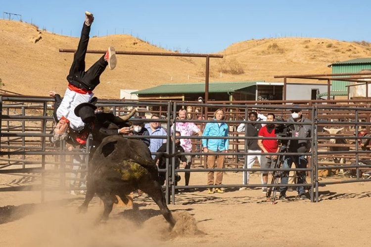 Watch the new trailer for 'Jackass Forever'