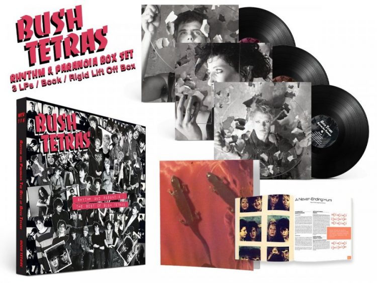 Bush Tetras announce huge new box set of their work