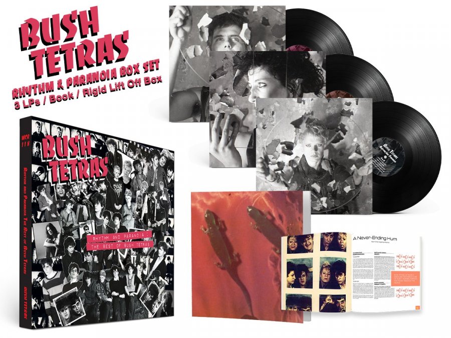 Bush Tetras announce huge new box set of their work