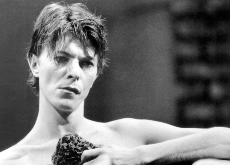 David Bowie Elephant Man