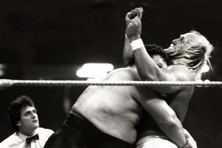 Andre the Giant Hulk Hogan