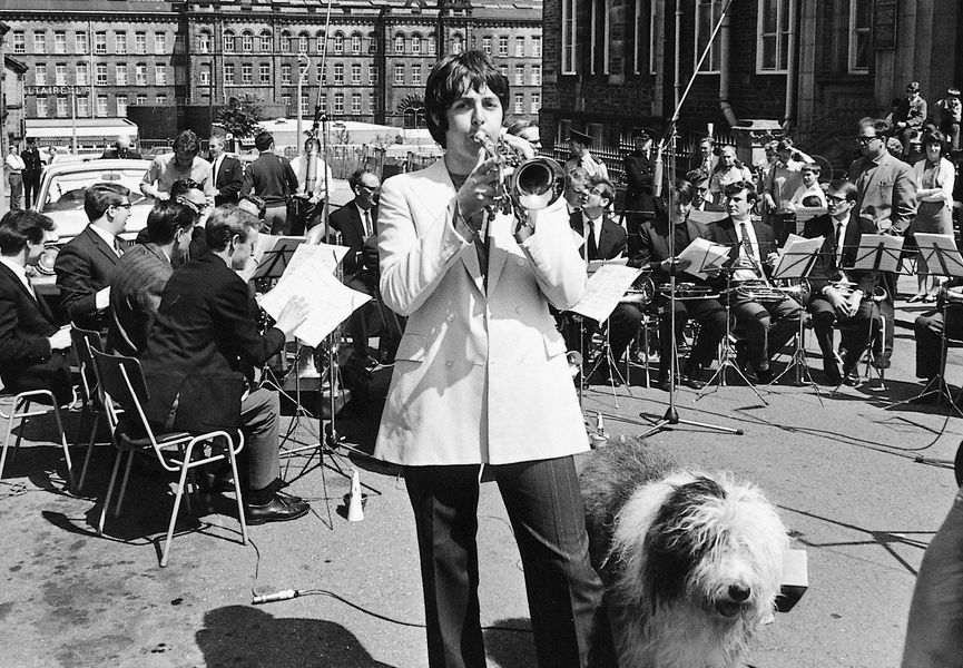 Paul McCartney Sheepdog (1)