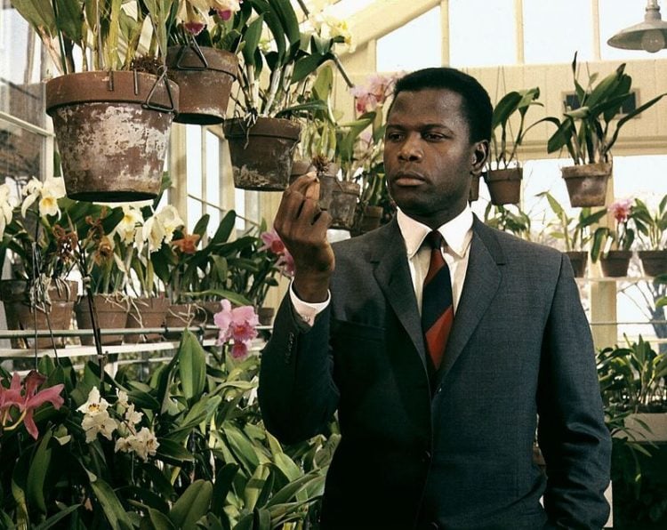 SIDNEY POITIER IN THE HEAT OF THE NIGHT (1967)