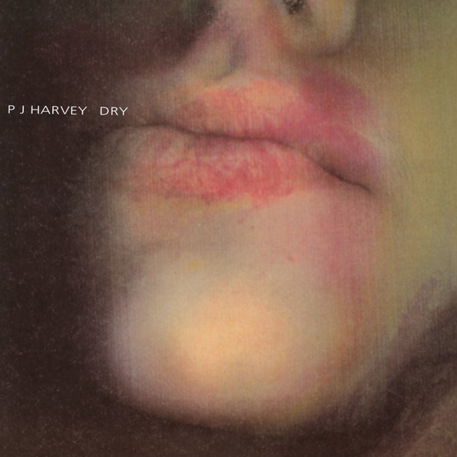 30 years since PJ Harvey burst onto the scene with her debut album 'Dry'