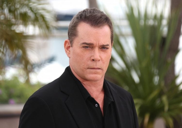 Ray Liotta 'Killing Them Softly' photocall during the 65th Cannes Film Festival Cannes