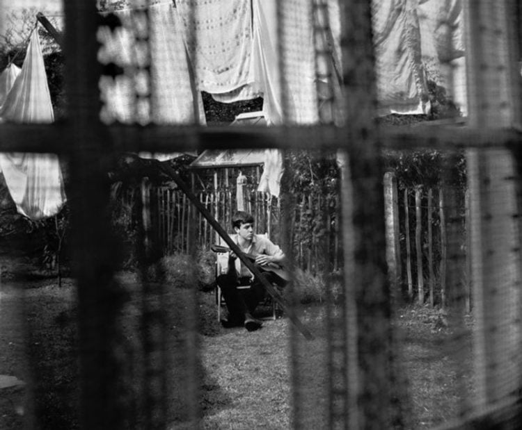 'Chaos and Creation In The Backyard'