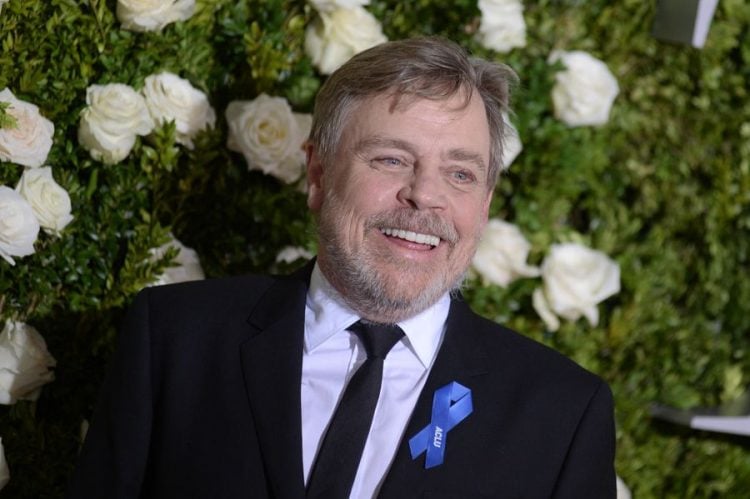 The incredible gesture Mark Hamill did for a dying boy