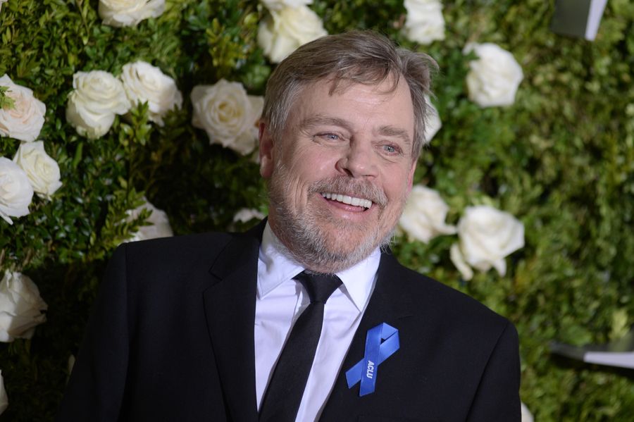 The incredible gesture Mark Hamill did for a dying boy