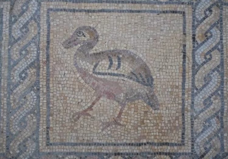 Palestinian farmer discovers ancient byzantine mosaic in Gaza
