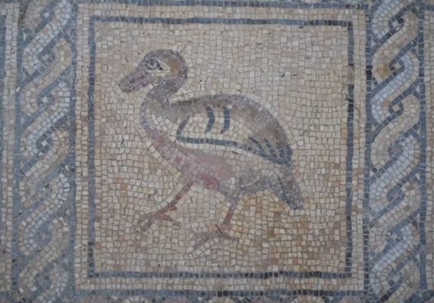 Palestinian farmer discovers ancient byzantine mosaic in Gaza
