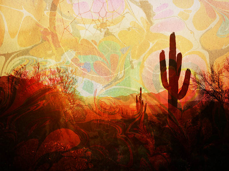 The biosphere experiment- how 8 eight hippies went mad in the Arizona Desert