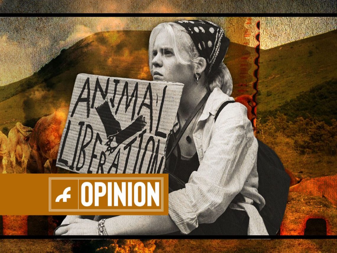 'Forget glue and milk- How cinema can be a vechicle for environmental protest'