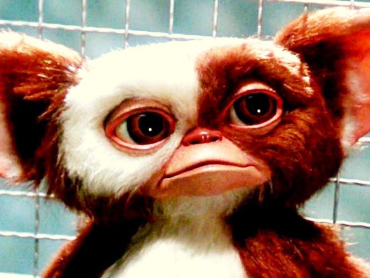 The original screenplay for 'Gremlins' was very gruesome