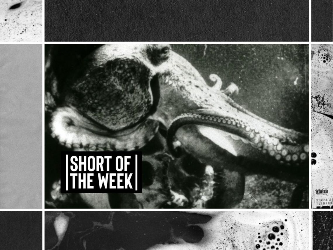 Jean Painlevé, The Octopus