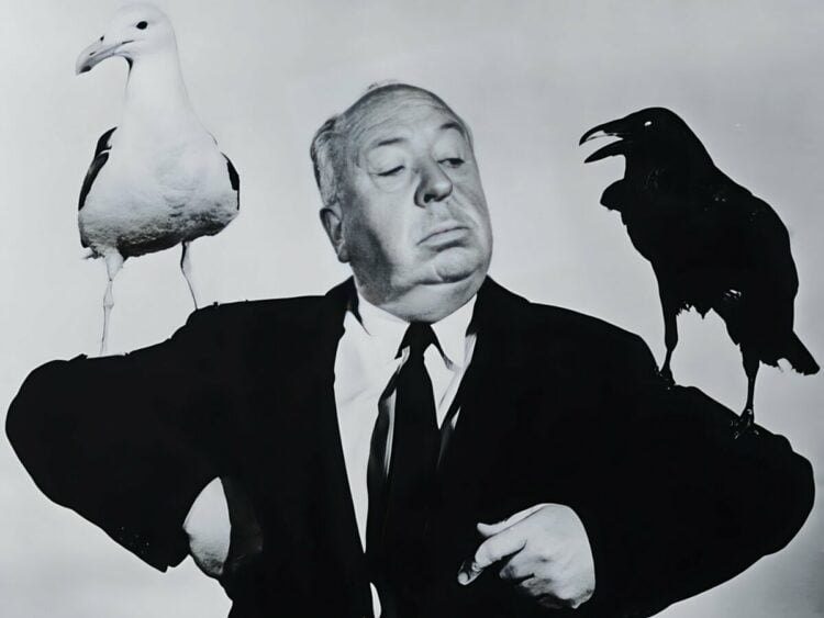 Alfred Hitchcock - 'The Birds'