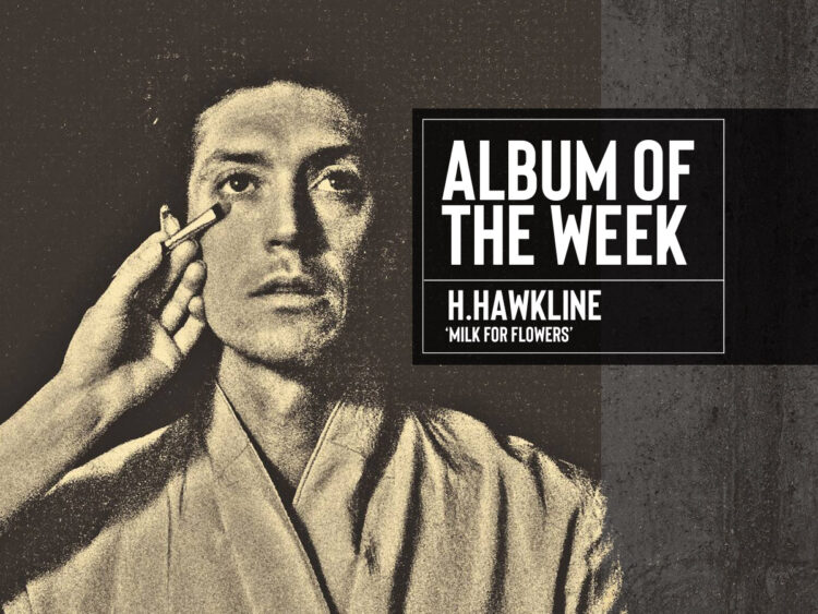 H Hawkline - Milk For Flowers - 2023