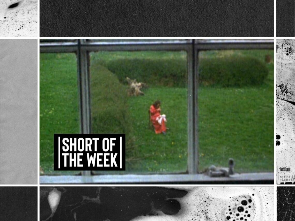 Peter Greenaway analyses death, 'Windows'
