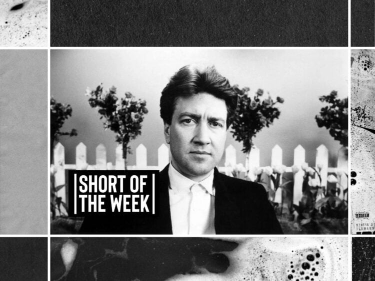 'The Grandmother', a bizarre David Lynch experience
