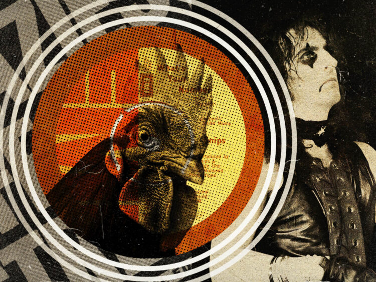 Clucking Madness- In loving memory of the chicken that changed music forever