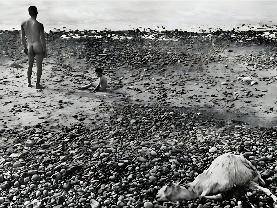 Ulysse - Agnès Varda - Far Out Magazine