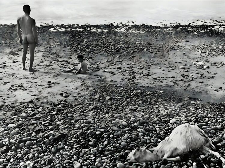 Ulysse - Agnès Varda - Far Out Magazine