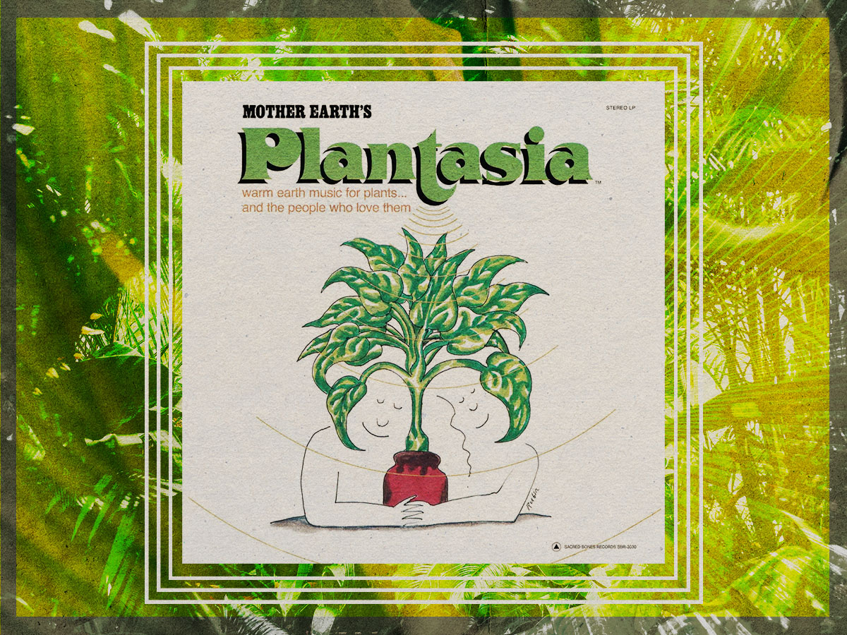 The unique album made for plants
