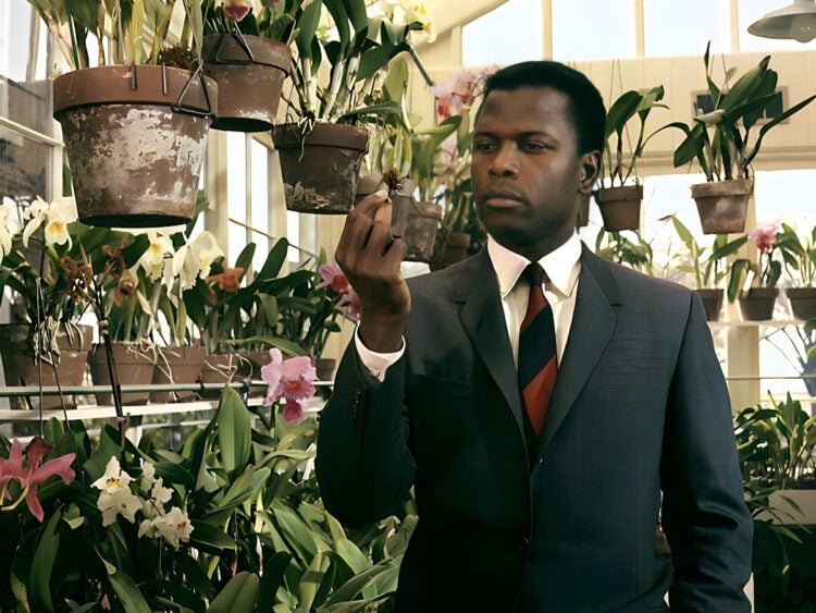 Sidney Poitier - In The Heat of the Night - 1967