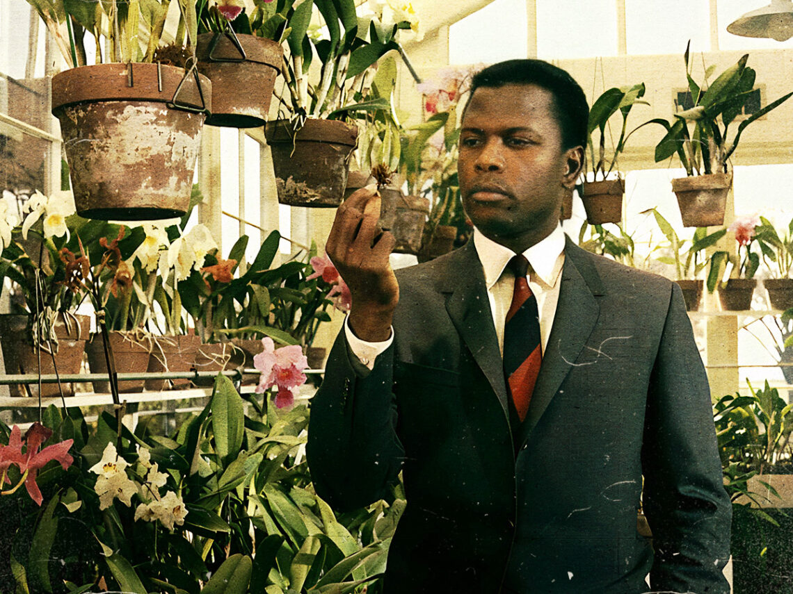 Sidney Poitier - In The Heat of the Night - 1967