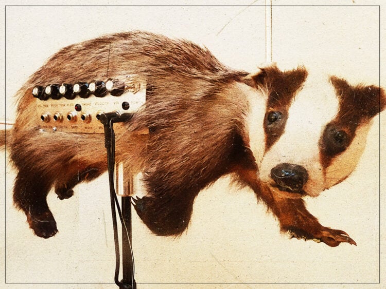 The badgermin- the weirdest music instrument in history? - 2023