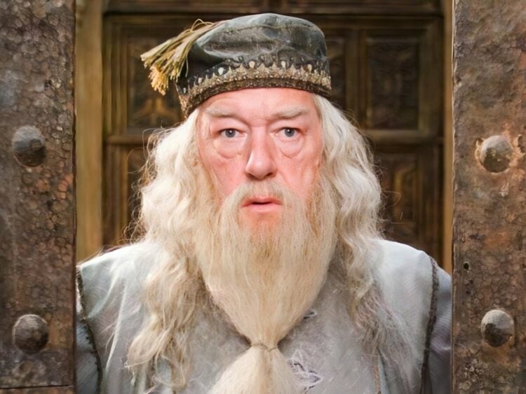Michael Gambon - Dumbledore - Harry Potter - Far Out Magazine