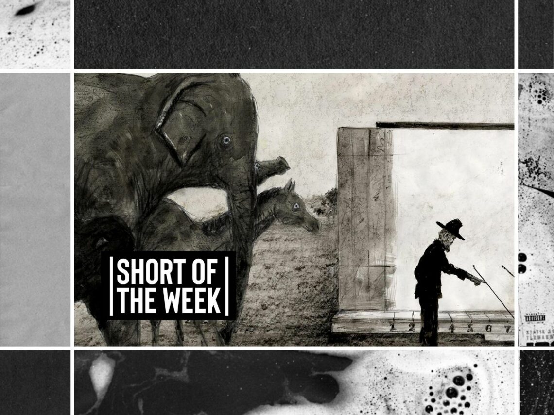 Muybridge's Strings - Kōji Yamamura - Short of the Week - Far Out Magazine