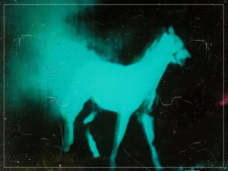 Berlin Horse - 1970 - Malcolm Le Grice
